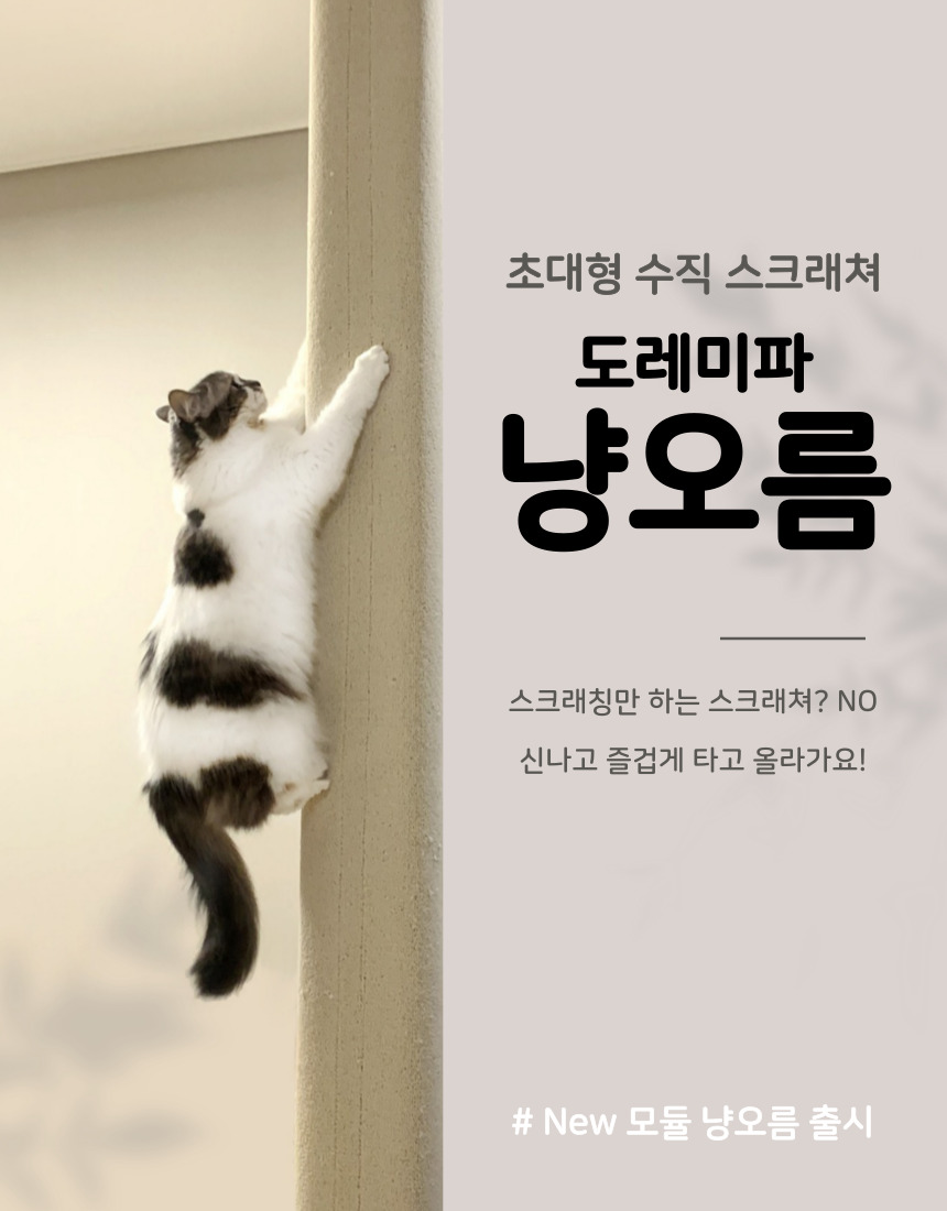 도레미파 냥오름 스크래쳐
