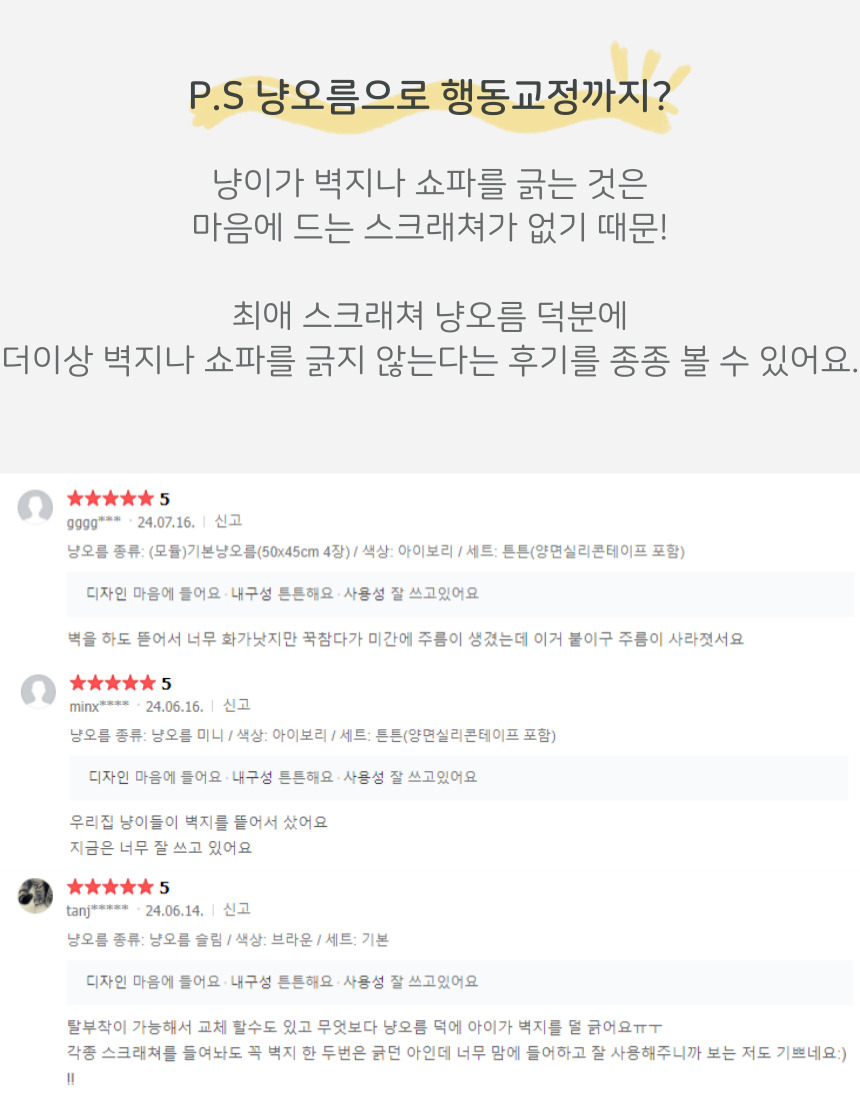 냥오름 행동교정 후기