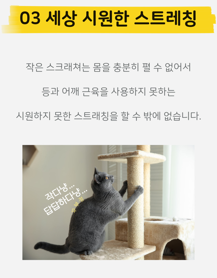 시원한 스트레칭